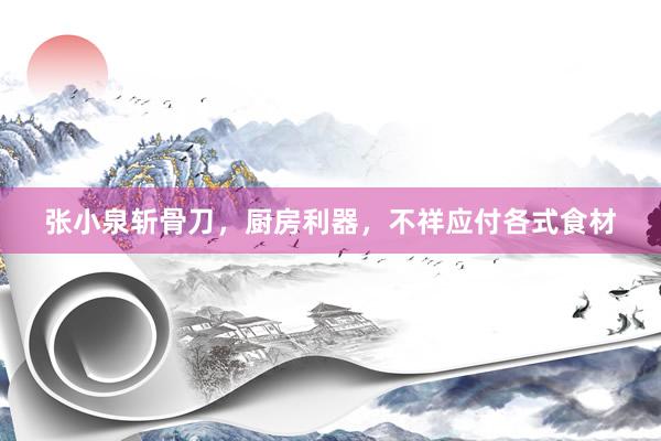 张小泉斩骨刀，厨房利器，不祥应付各式食材