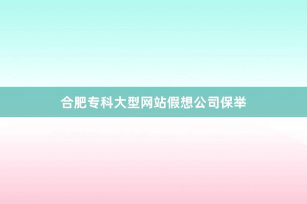 合肥专科大型网站假想公司保举