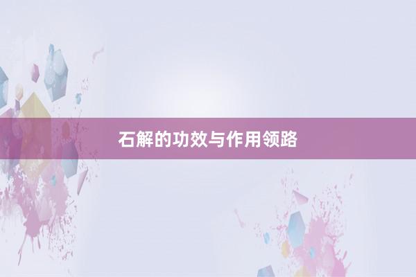 石解的功效与作用领路