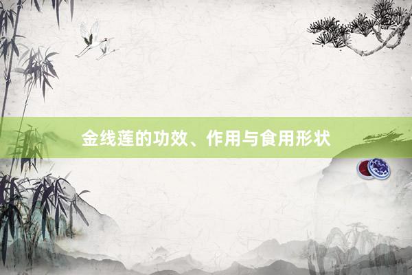 金线莲的功效、作用与食用形状