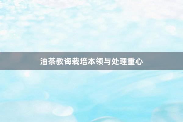 油茶教诲栽培本领与处理重心